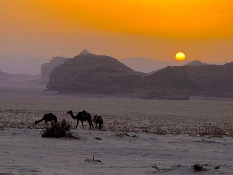 White Desert Camp Wadi Rum Exterior foto